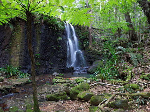 Gold Coast Hinterland Great Walk - ACT Tourism 1
