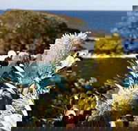 Green Island Walking Track - ACT Tourism