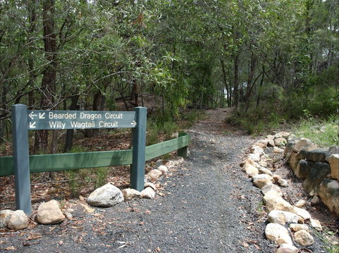 Haig Street Quarry Bushland Reserve Trails - ACT Tourism 1