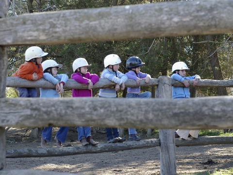 Harlow Park Horse Riding - ACT Tourism 0