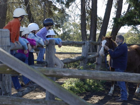Harlow Park Horse Riding - ACT Tourism 2
