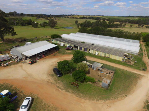 Hill-Lock Orchard - ACT Tourism 0