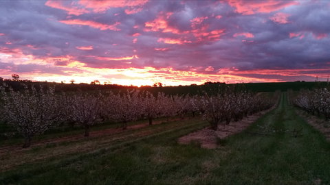 Hill-Lock Orchard - ACT Tourism 2