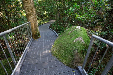 Josephine Falls Walking Track, Wooroonooran National Park - ACT Tourism 2