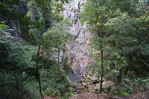 Kondalilla Falls Circuit, Kondalilla National Park - ACT Tourism 0
