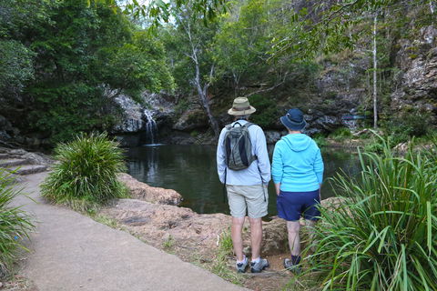 Kondalilla Falls Circuit, Kondalilla National Park - ACT Tourism 1