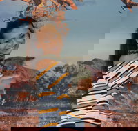 Kuranda Koala Gardens - ACT Tourism