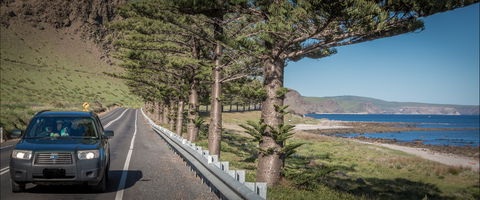 Lady Bay Beach - ACT Tourism 0