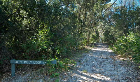 Lillypilly Loop Trail - ACT Tourism 0