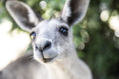 Lochern National Park - ACT Tourism 0