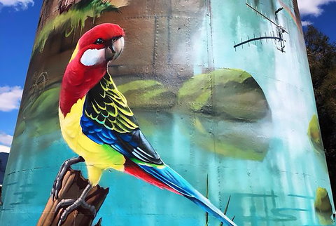 Lockhart Water Tower Mural - ACT Tourism 1