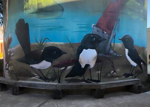 Lockhart Water Tower Mural - ACT Tourism 2