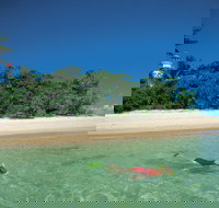 Low Isles - ACT Tourism