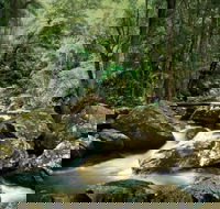 Maleny - ACT Tourism