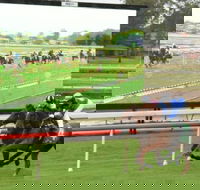 Manning Valley Race Club - ACT Tourism