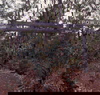 Marrinup Trail Dwellingup - ACT Tourism