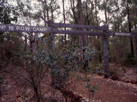 Marrinup Trail, Dwellingup - ACT Tourism 0