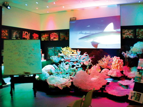 Marine Discovery Centre Hastings Point - ACT Tourism 0