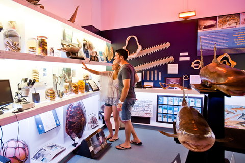 Marine Discovery Centre Hastings Point - ACT Tourism 1