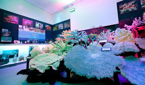 Marine Discovery Centre Hastings Point - ACT Tourism 2