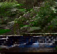 Millards Creek Walk and Cycleway - ACT Tourism