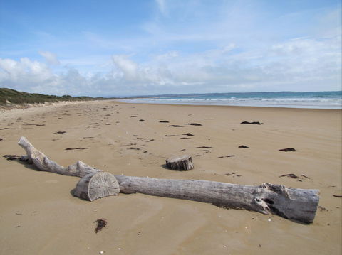Narawntapu National Park - ACT Tourism 2