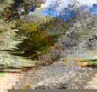 Naracoorte North Nature Park - ACT Tourism