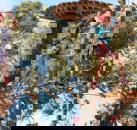 Next Level Monkey Business - ACT Tourism