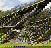 Noojee Trestle Bridge - ACT Tourism