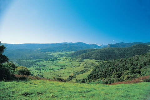 Numinbah Section, Springbrook National Park - ACT Tourism 0