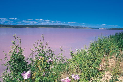 Port Gregory - ACT Tourism 0