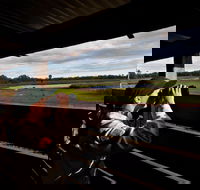 Reed Beds Bird Hide Boardwalk - ACT Tourism