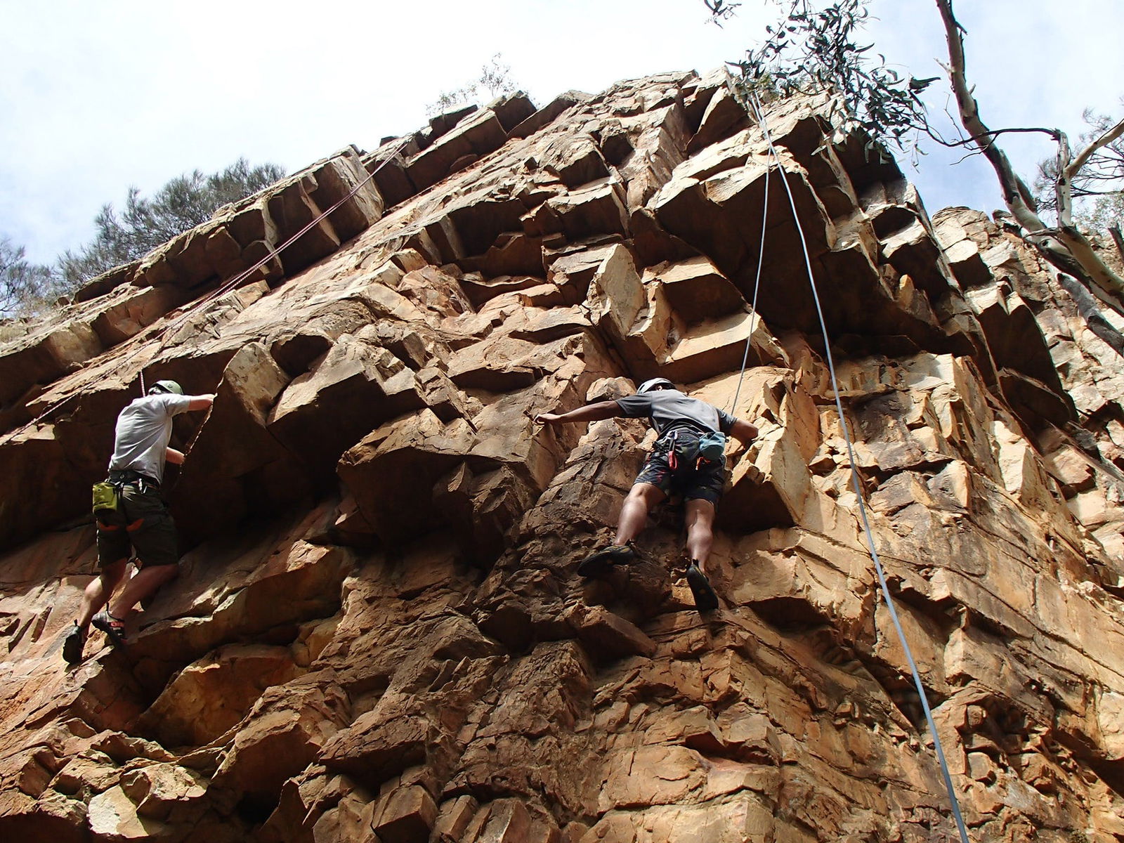 Woodforde SA ACT Tourism