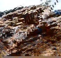 Rock Climbing in Morialta - ACT Tourism