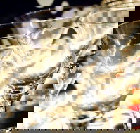 Rushworth - ACT Tourism