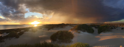 Shelly Beach Dune Walk Trail - ACT Tourism 2