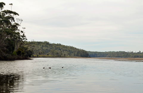 Tabourie Lake - ACT Tourism 0