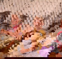 Tambo Teddies - ACT Tourism