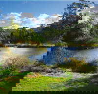 Tasmanian Arboretum Inc. - The - ACT Tourism