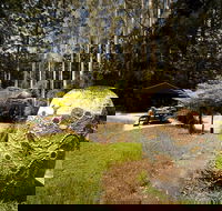 The Pines Picnic Area - ACT Tourism