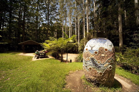 The Pines Picnic Area - ACT Tourism 0