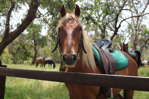 The Ranch - ACT Tourism 2