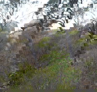Tolmer Rocks - Mount Boothby Conservation Park - ACT Tourism