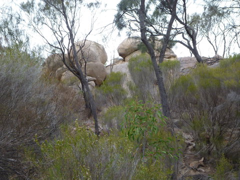 Tolmer Rocks - Mount Boothby Conservation Park - ACT Tourism 0