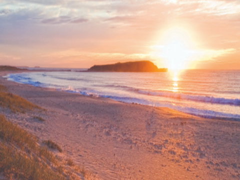 Warilla Beach: Shellharbour - ACT Tourism 0