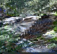 Washpools waterhole - ACT Tourism