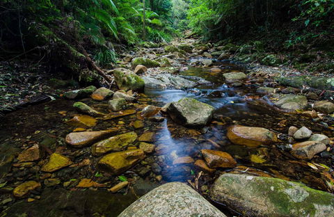 Willi Willi National Park - ACT Tourism 0