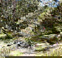 Wollomombi Walking Track - ACT Tourism