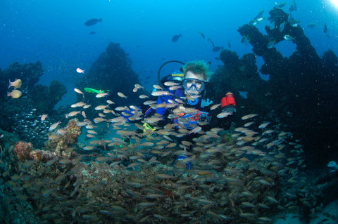 Aarhus Dive Site - ACT Tourism 0