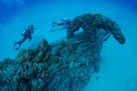 Aarhus Dive Site - ACT Tourism 1